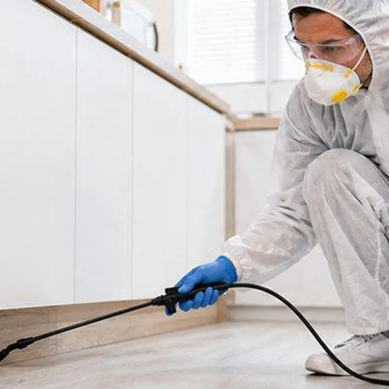 Pest control technician inspecting a Toledo, Ohio home for rodent entry points