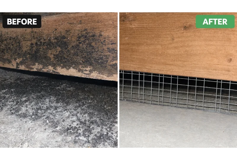 Before and after dead rodent removal showing restored cleanliness in a residential rental property.