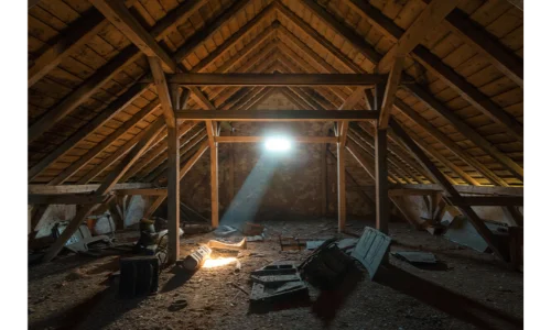 Professional technician inspecting a noisy Toledo, OH attic for rat and rodent activity