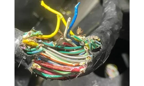 Rodent-chewed engine wiring found in a Toledo, OH garage